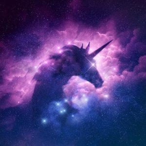 FlashUnicorn FlashUnicorn